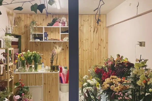 Kuzey Çiçek Evi - Resim 7