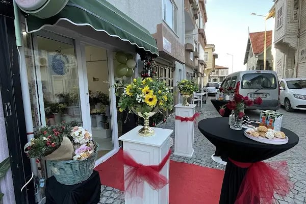 Kuzey Çiçek Evi - Resim 2