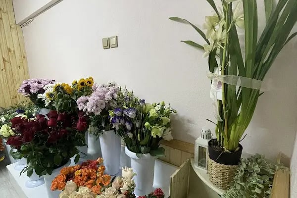 Kuzey Çiçek Evi - Resim 9