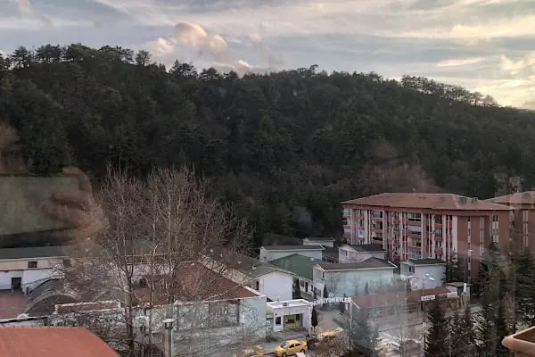 Kaplıca Termal Otel - Resim 19
