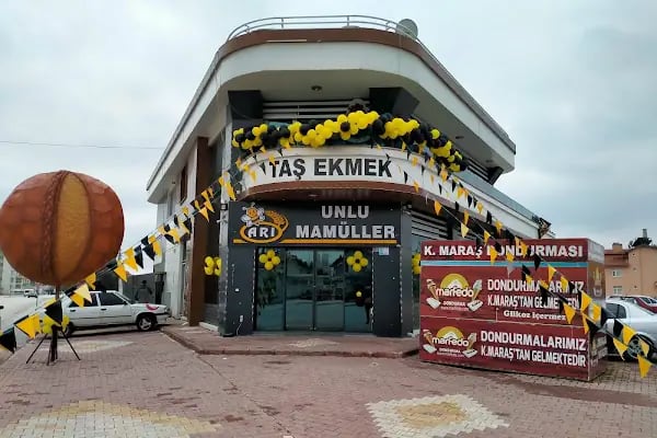 ARI UNLUMAMÜLLERİ - Resim 6