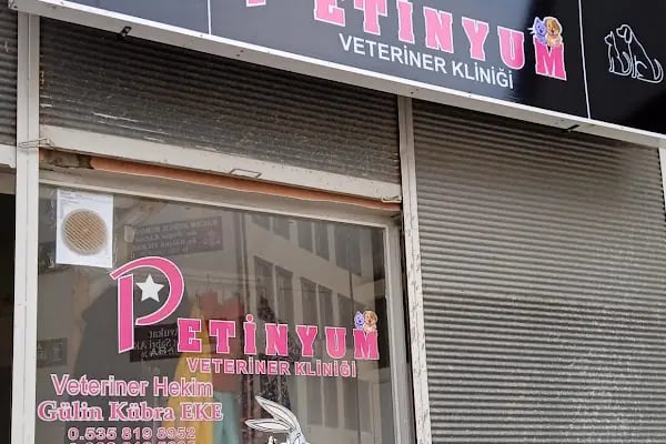 Petinyum Veteriner Kliniği - Resim 2