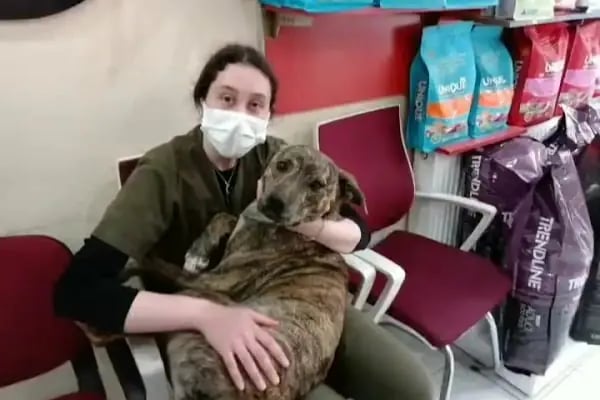 Petinyum Veteriner Kliniği - Resim 11