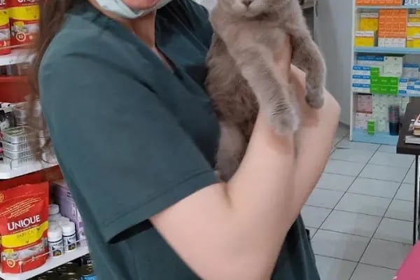 Petinyum Veteriner Kliniği - Resim 9