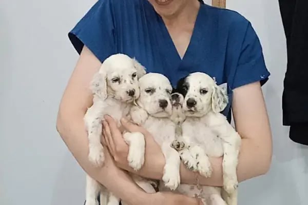Petinyum Veteriner Kliniği - Resim 7