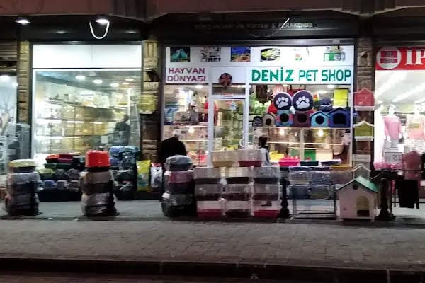 Deniz pet center - Resim 2