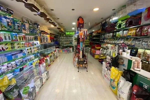 Deniz pet center - Resim 8