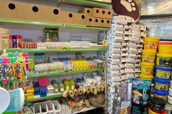 Deniz pet center - Resim 11