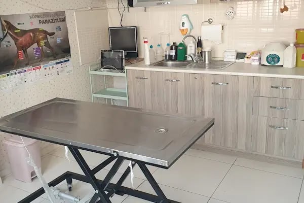 Central Perk Veteriner Kliniği - Resim 4