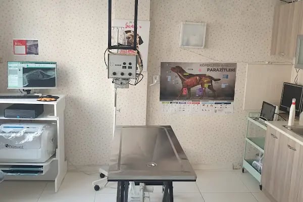 Central Perk Veteriner Kliniği - Resim 15