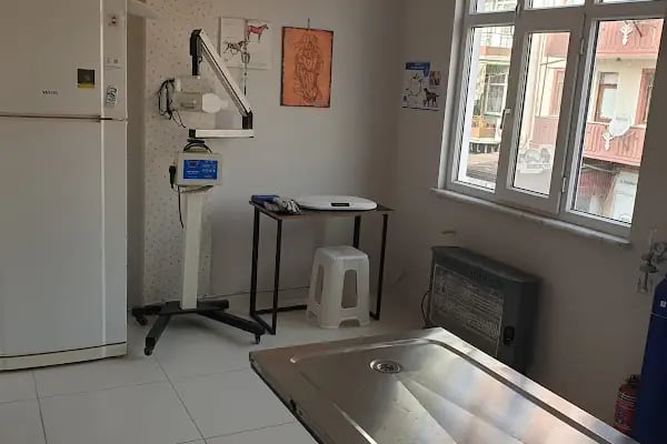 Central Perk Veteriner Kliniği - Resim 3