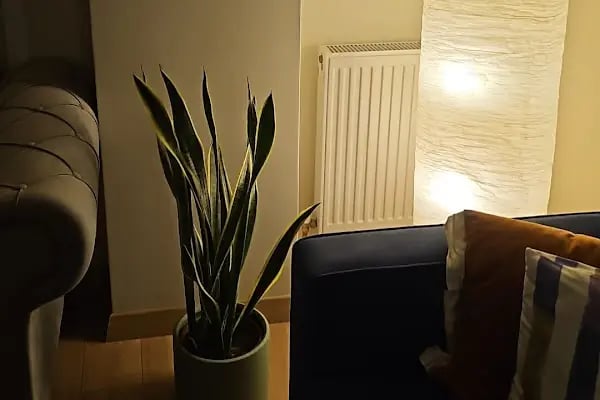 Fidan Burada Tarım Hayv. İç Ve Dış Tic. San. Ltd Şti. Fidanlık Ve Operasyon Merkezi Ofisi - Resim 5