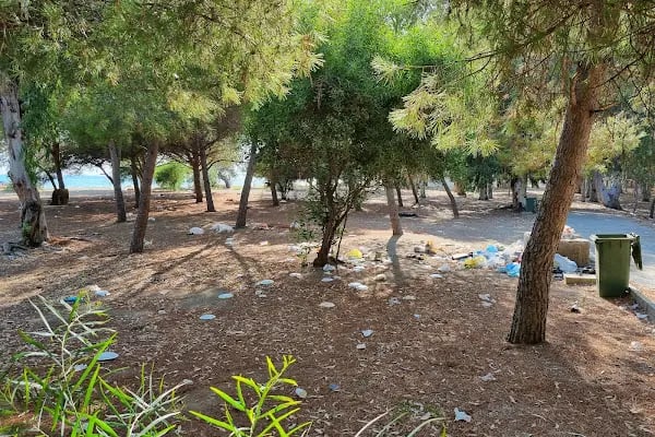 Morperest Glamping &amp; KARAVAN KAMP - Resim 3
