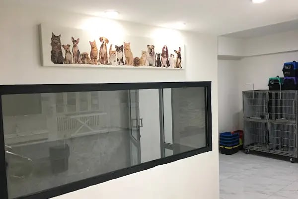 AKADEMİ VETERİNER KLİNİĞİ - Resim 13