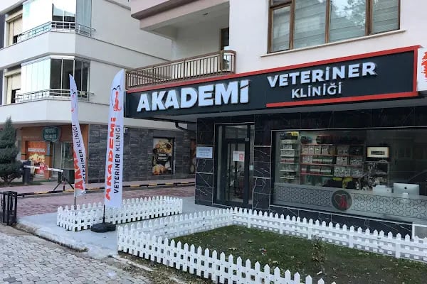 AKADEMİ VETERİNER KLİNİĞİ - Resim 3