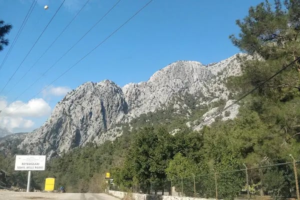 Beydağları Sahil Milli Parkı - Resim 15
