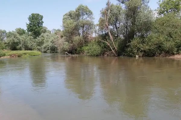 Şipali İlkokulu Ve Ortaokulu - Resim 3