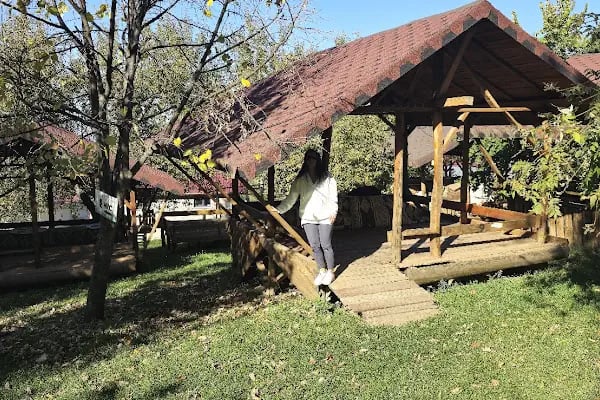 Alaçam Sefa Tepesi Et Mangal Alabalık ve Kahvaltı - Resim 7