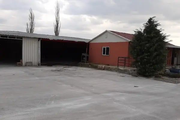Balıkesir Anadolu Palet - Resim 15