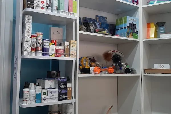 Veteriner Kliniği - Resim 4