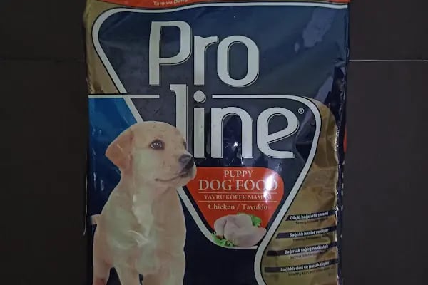 üç kardeşler karapürçek petshop - Resim 13