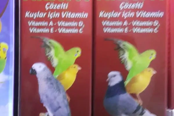 üç kardeşler karapürçek petshop - Resim 6
