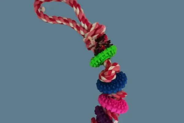üç kardeşler karapürçek petshop - Resim 10