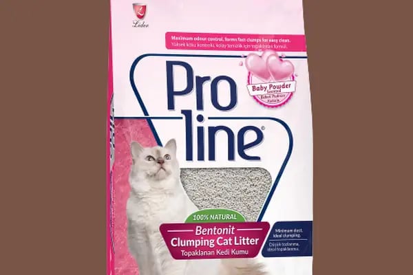 üç kardeşler karapürçek petshop - Resim 5
