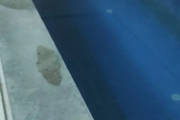 Sauna Gümüşkapı - Resim 9