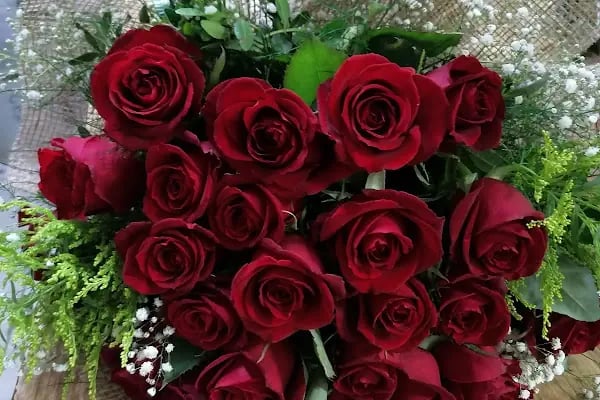 sevda flowers çiçekçi - Resim 20