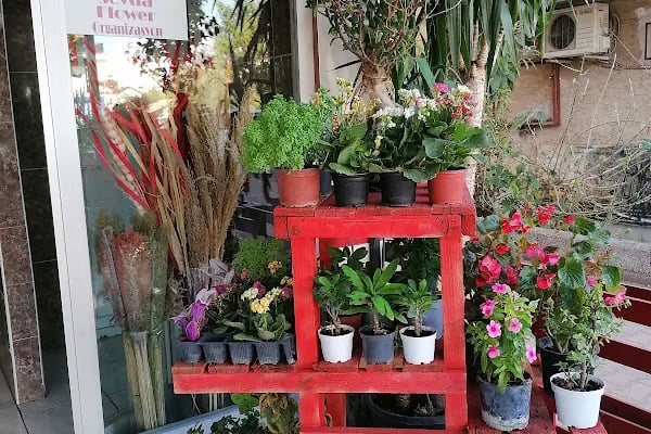 sevda flowers çiçekçi - Resim 6