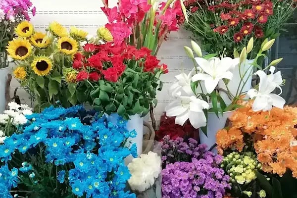 sevda flowers çiçekçi - Resim 7