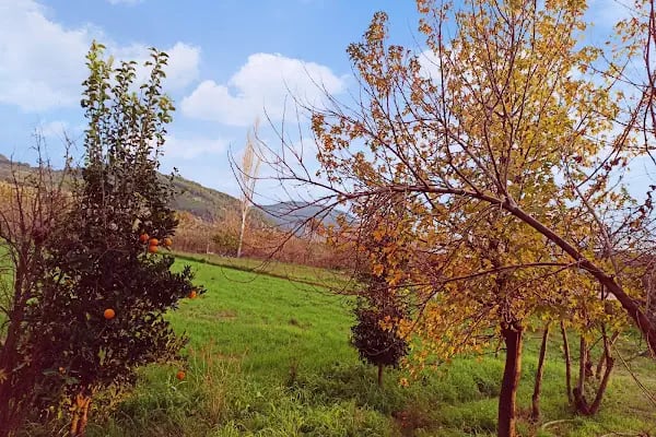 Dalaman Airport Guesthouse Hotel - Resim 18