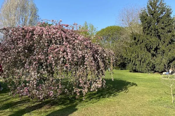 Nezahat Gökyiğit Botanik Bahçesi, Ataşehir Girişi - Resim 13
