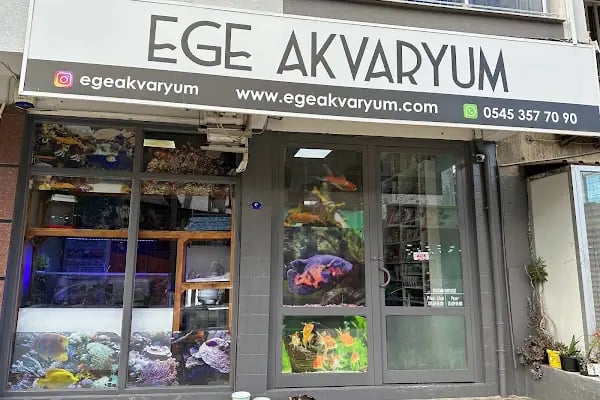 Ege Akvaryum - Resim 2