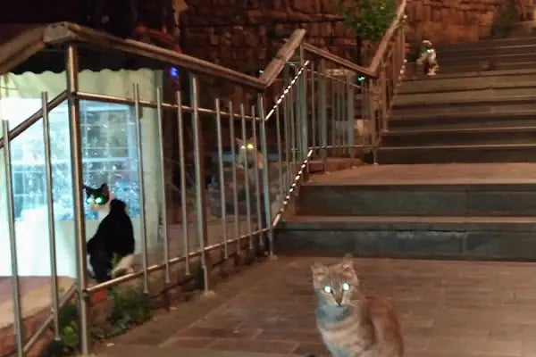 Sultan Pansiyon - Resim 13