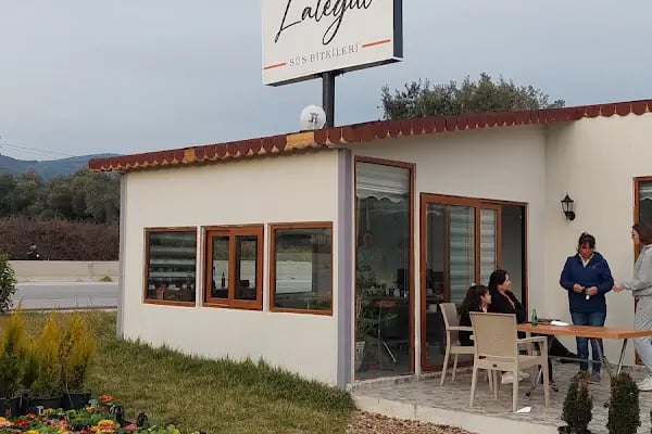 Lalegül süs bitkileri - Resim 2