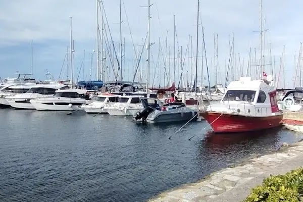 Setur Marinas Yalova - Resim 5