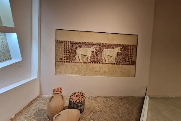 Şanlıurfa Müzesi Neolitik Çağ Salonu - Resim 8