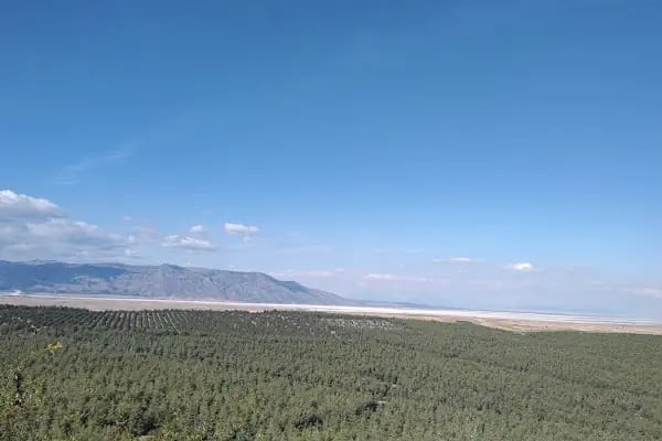 Denizli Çardak Havalimanı (DNZ) - Resim 19