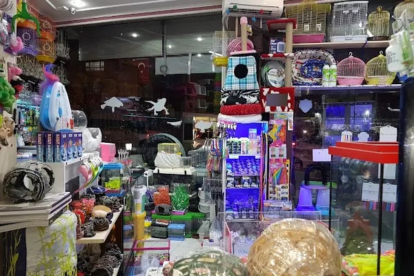 Beren Pet Shop - Resim 8
