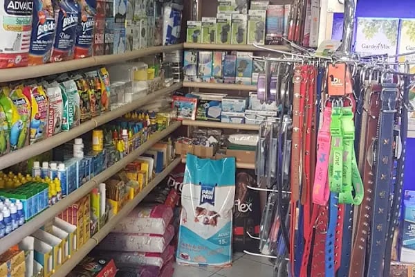 Beren Pet Shop - Resim 5