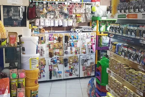 Beren Pet Shop - Resim 2
