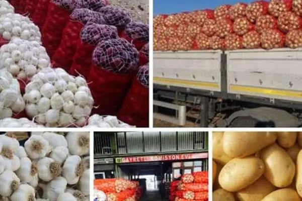 Şanlıurfa Belediyesi Sebze Ve Meyve Hali - Resim 12
