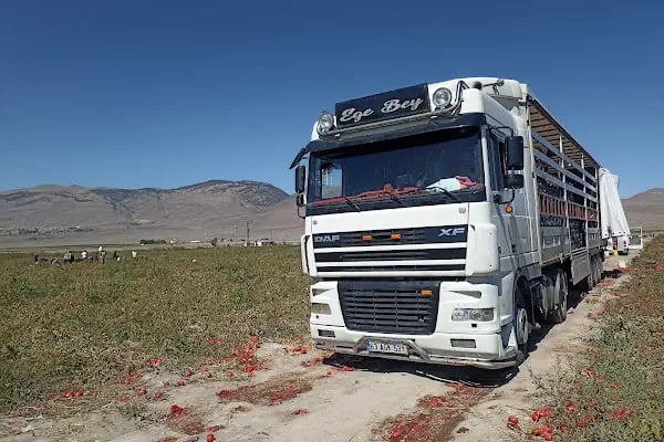 Şanlıurfa Belediyesi Sebze Ve Meyve Hali - Resim 10