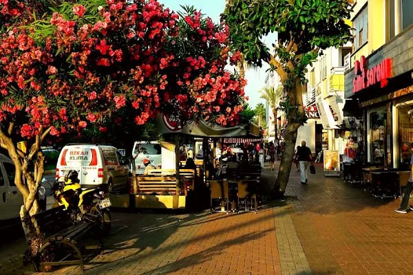 Alanya Ticaret Ve Sanayi Odası - Resim 12