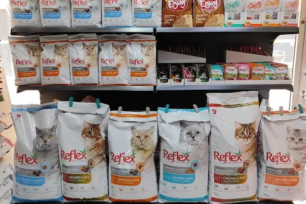 Gazi Oglu Akvaryum Pet Shop - Resim 11