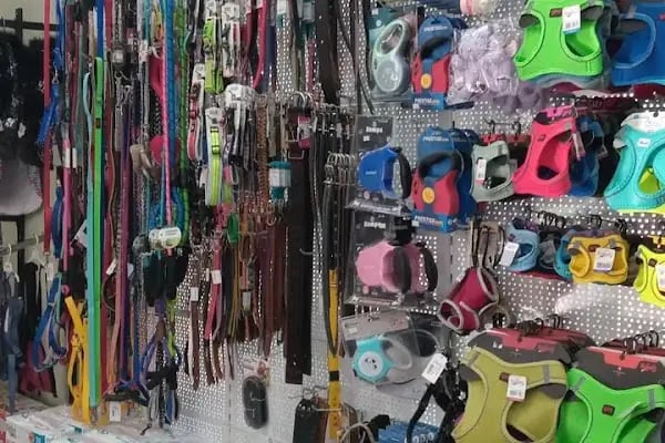 Alfa Pet Shop - Resim 2
