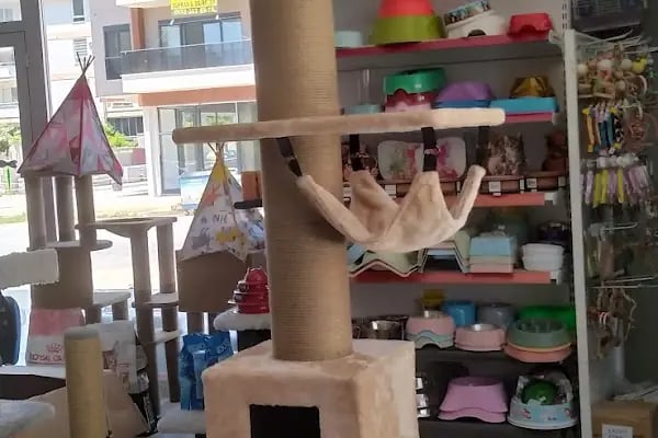 Alfa Pet Shop - Resim 18