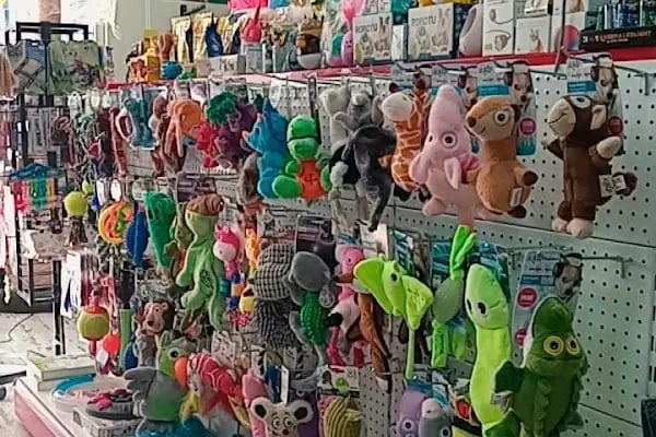 Alfa Pet Shop - Resim 7